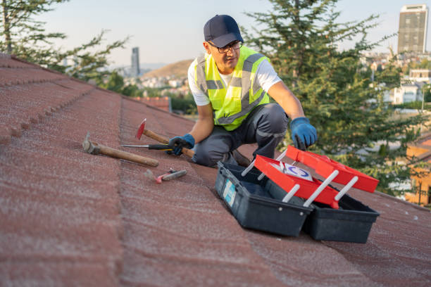 Best Custom Siding Design  in Medina, WA