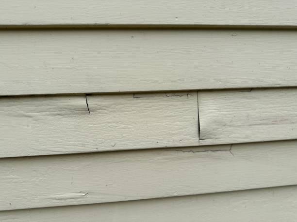 Affordable siding repair and maintenance services in Medina, WA
